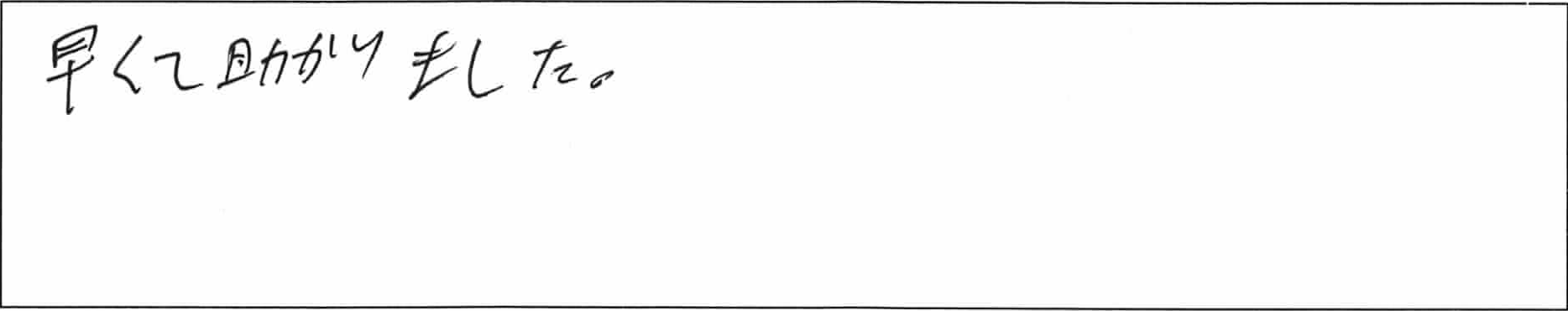 ¥¢¥ó¥±¡¼¥ÈÆþ·îTÍÍ