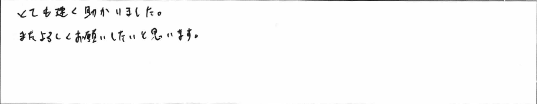 ¥¢¥ó¥±¡¼¥È¼¼°æSÍÍ