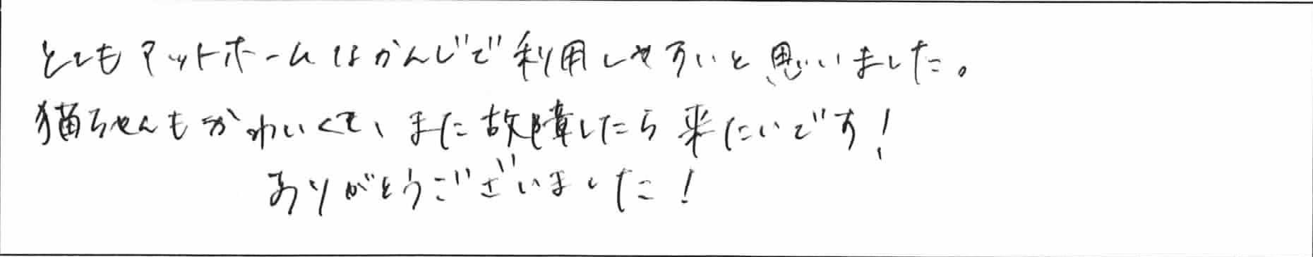 ¥¢¥ó¥±¡¼¥ÈÀé»ÞYÍÍ