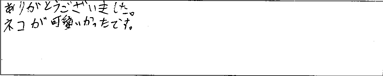 ¥¢¥ó¥±¡¼¥È¶â»ÒTÍÍ