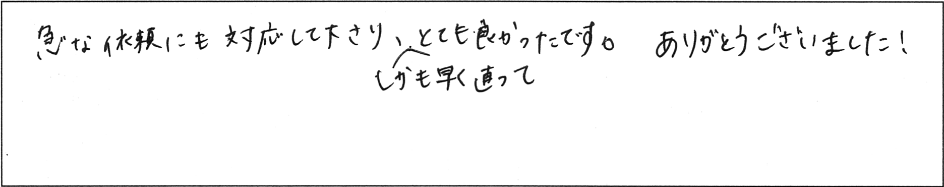 ¥¢¥ó¥±¡¼¥È¾åÌîKÍÍ