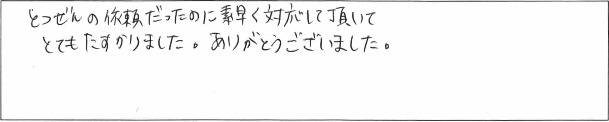 ¥¢¥ó¥±¡¼¥ÈÃÓÅÄSÍÍ