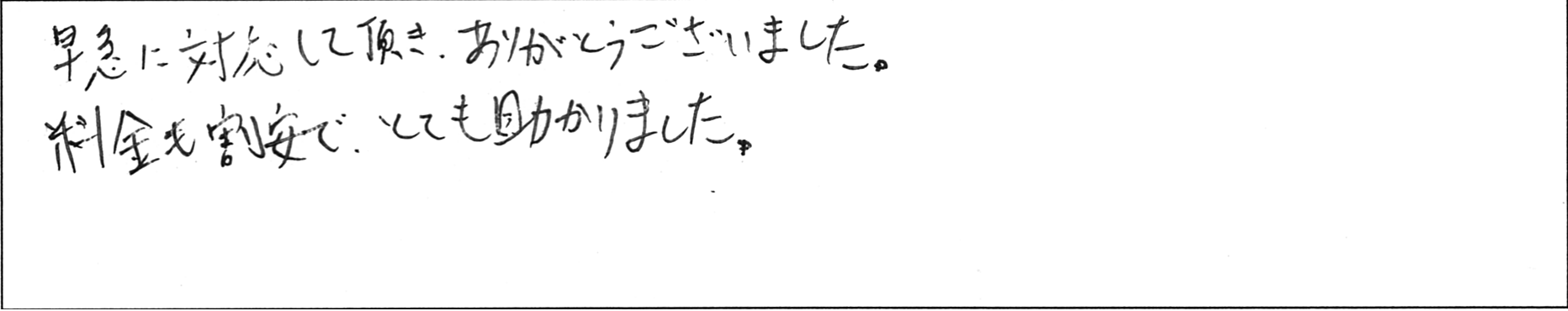 ¥¢¥ó¥±¡¼¥È¸¨Ã«YÍÍ