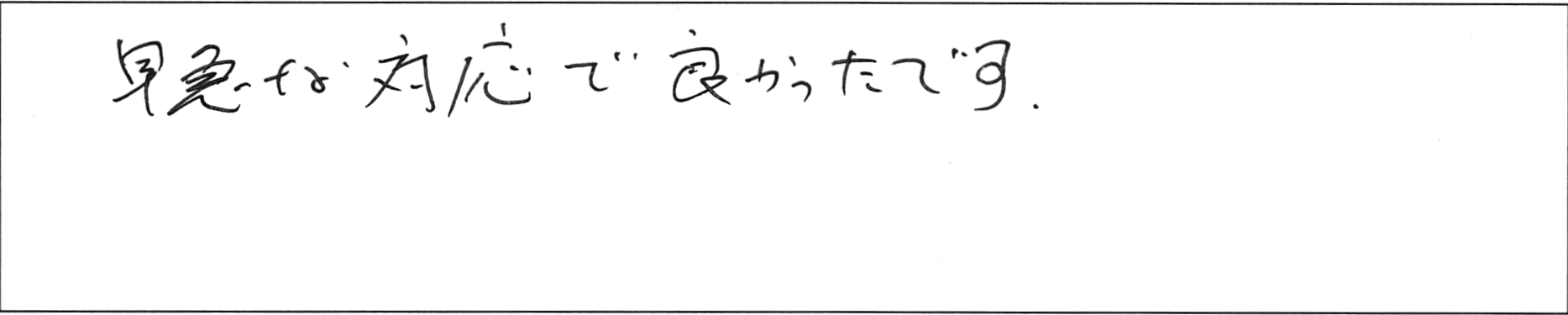 ¥¢¥ó¥±¡¼¥È²¬Â¼TÍÍ