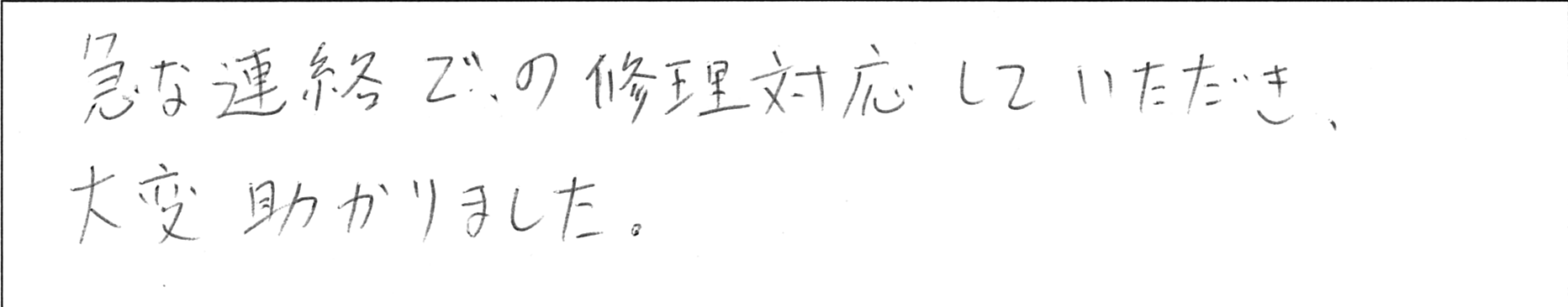 ¥¢¥ó¥±¡¼¥È±©²ìHÍÍ