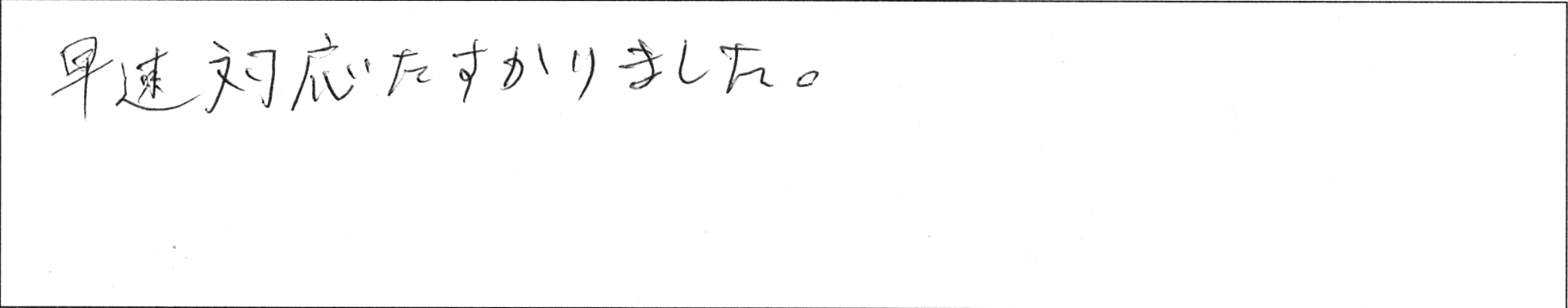 ¥¢¥ó¥±¡¼¥ÈĹëÀîSÍÍ