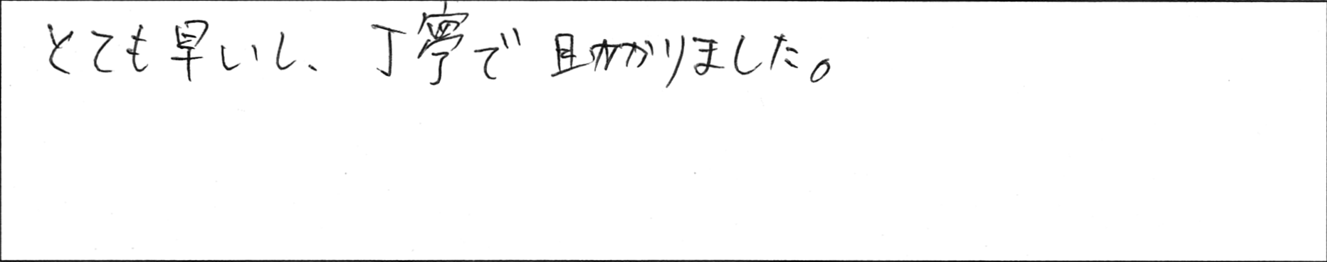 ¥¢¥ó¥±¡¼¥È¾®ÎÓMÍÍ