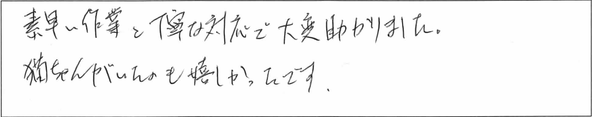 ¥¢¥ó¥±¡¼¥È¸Þ°æKÍÍ