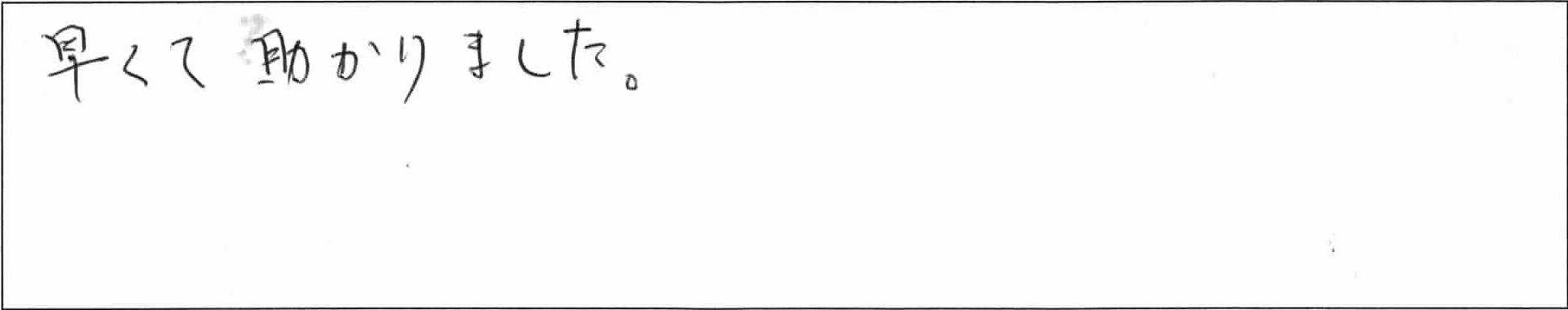 ¥¢¥ó¥±¡¼¥ÈÊ¡ÃÏNÍÍ