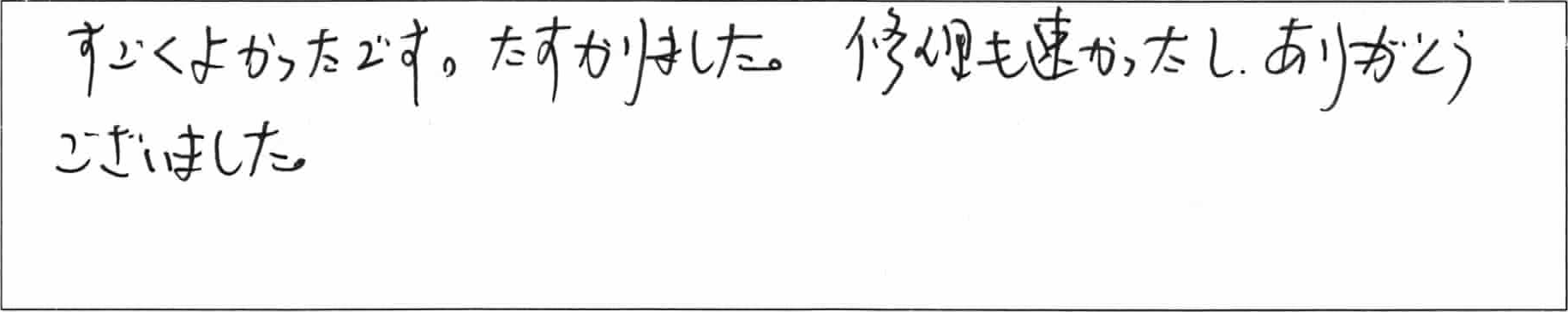 ¥¢¥ó¥±¡¼¥ÈÍÈTÍÍ