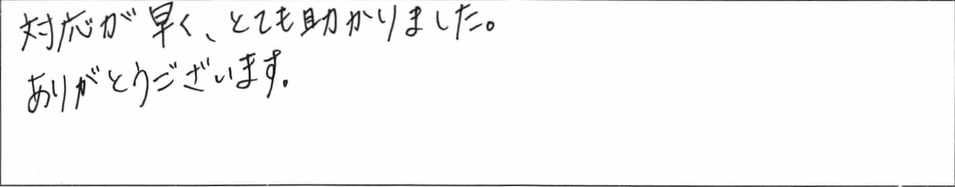 ¥¢¥ó¥±¡¼¥È¶â»ÒSÍÍ