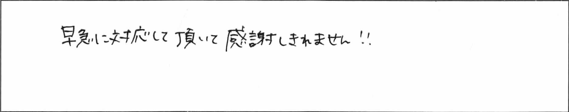 ¥¢¥ó¥±¡¼¥ÈÔìÅÄMÍÍ