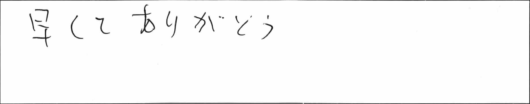 ¥¢¥ó¥±¡¼¥Èǽ½¡MÍÍ