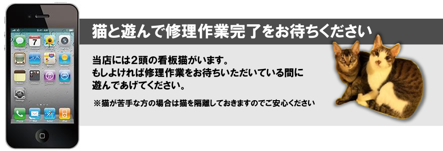 ǭ��ͷ��ǽ�����ȴ�λ���Ԥ���������